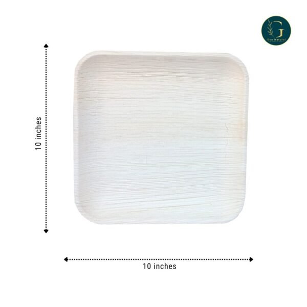 Areca Palm Leaf Plates 10x10 Square - Image 2