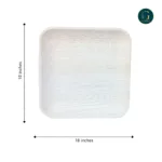 areca palm leaf plates 10×10